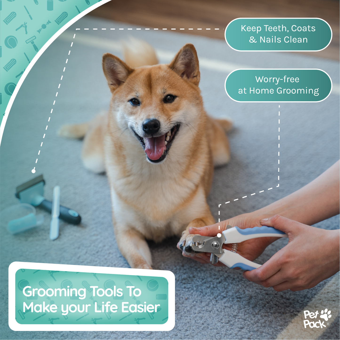 Pet Pack® Dog Essentials Set