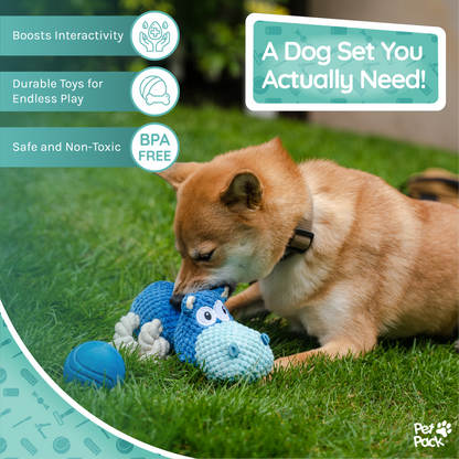 Coffret d'accessoires essentiels pour chien Pet Pack®