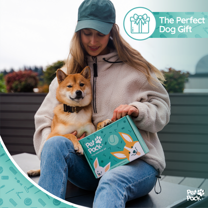 Coffret d'accessoires essentiels pour chien Pet Pack®
